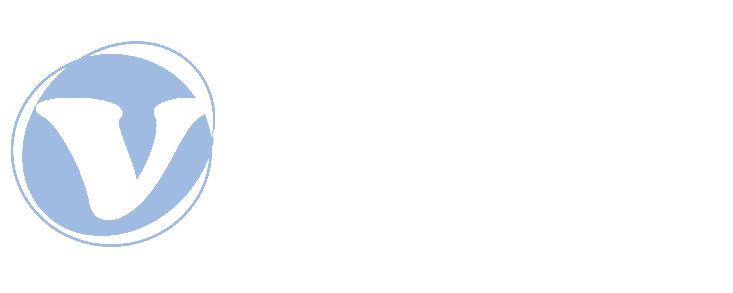 Vivid Operational Advisors